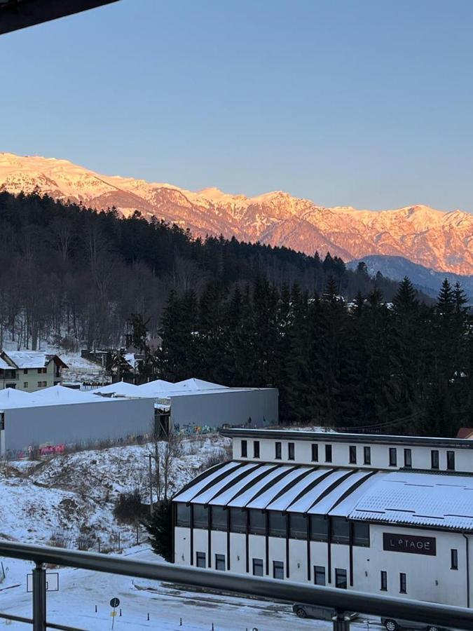Coca Apart Mountain View Sinaia Kültér fotó