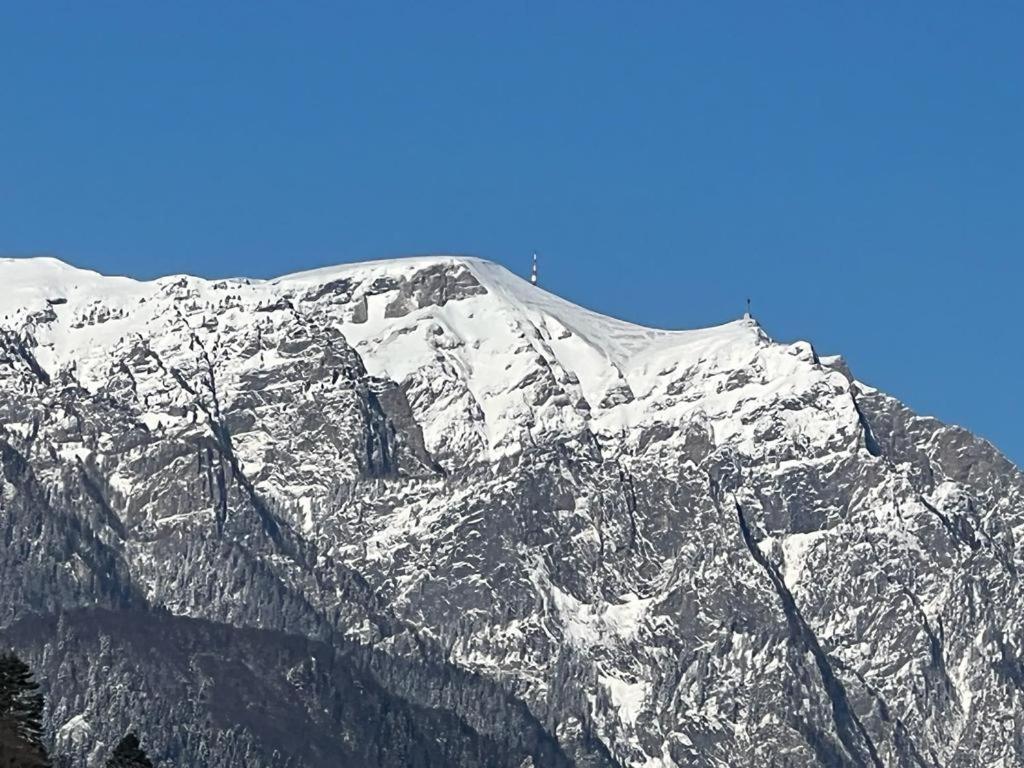 Coca Apart Mountain View Sinaia Kültér fotó