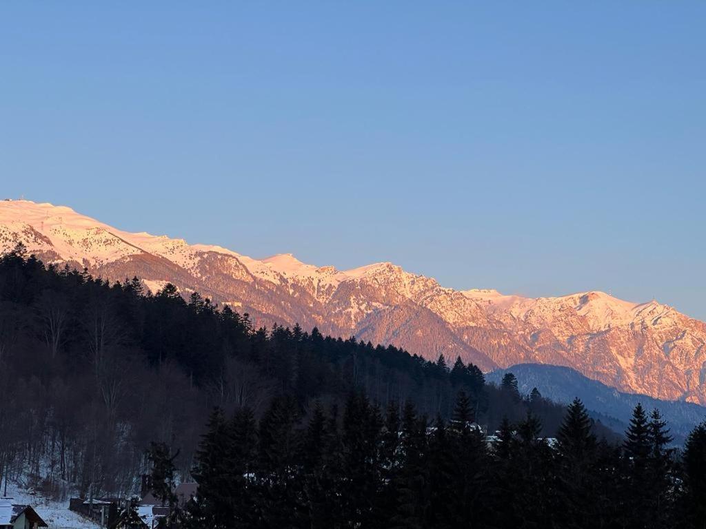 Coca Apart Mountain View Sinaia Kültér fotó