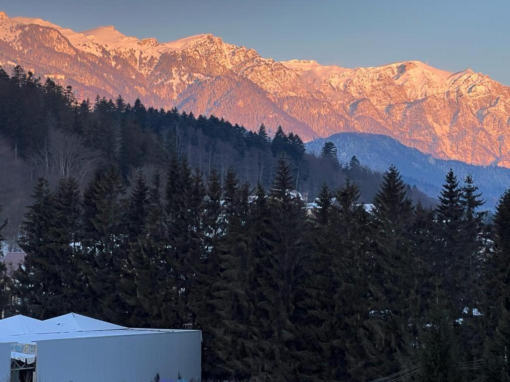 Coca Apart Mountain View Sinaia Kültér fotó