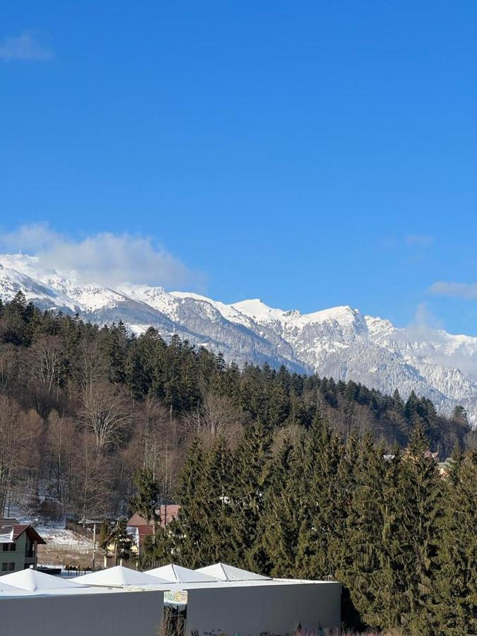 Coca Apart Mountain View Sinaia Kültér fotó