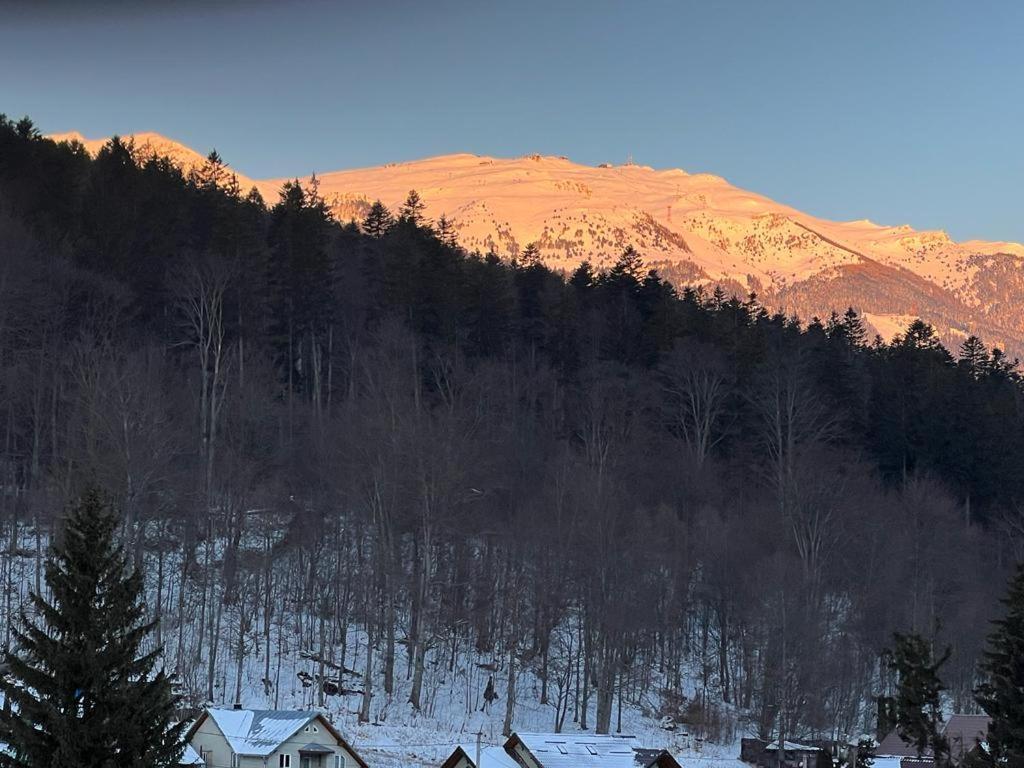 Coca Apart Mountain View Sinaia Kültér fotó