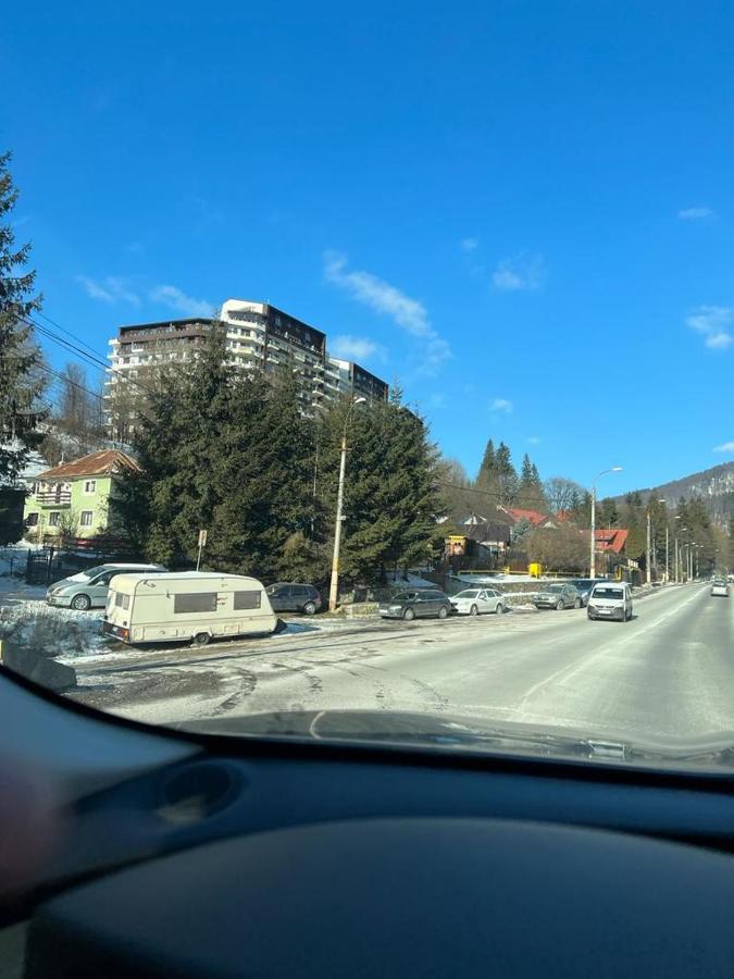 Coca Apart Mountain View Sinaia Kültér fotó