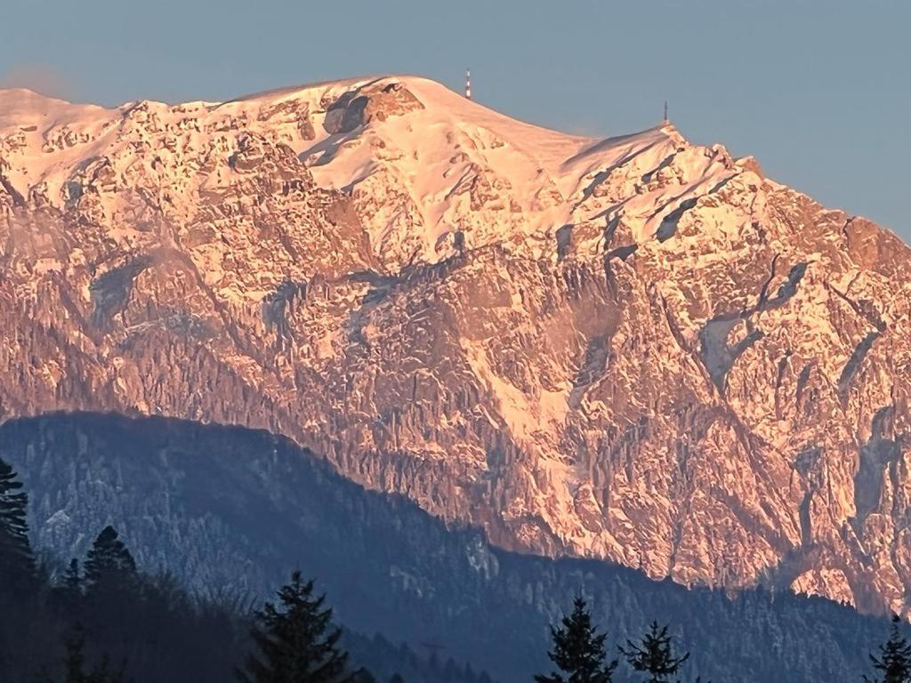 Coca Apart Mountain View Sinaia Kültér fotó