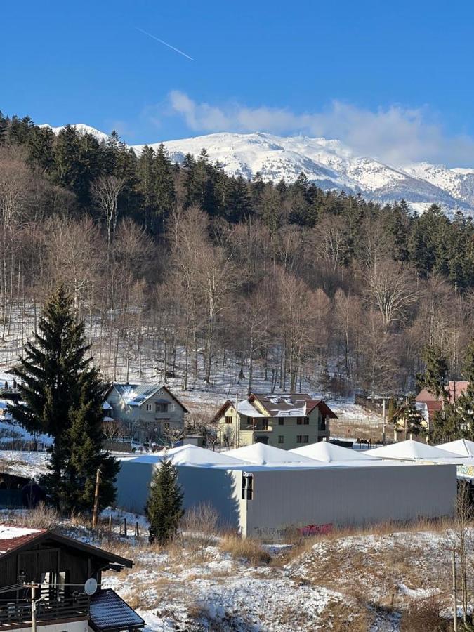 Coca Apart Mountain View Sinaia Kültér fotó
