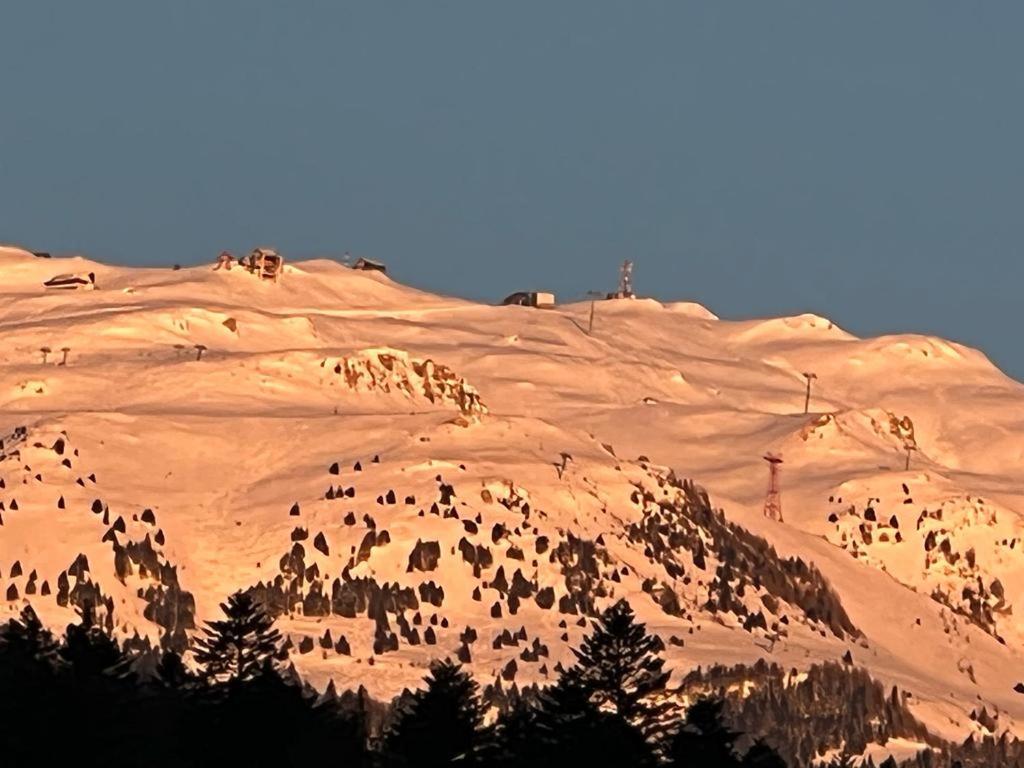 Coca Apart Mountain View Sinaia Kültér fotó