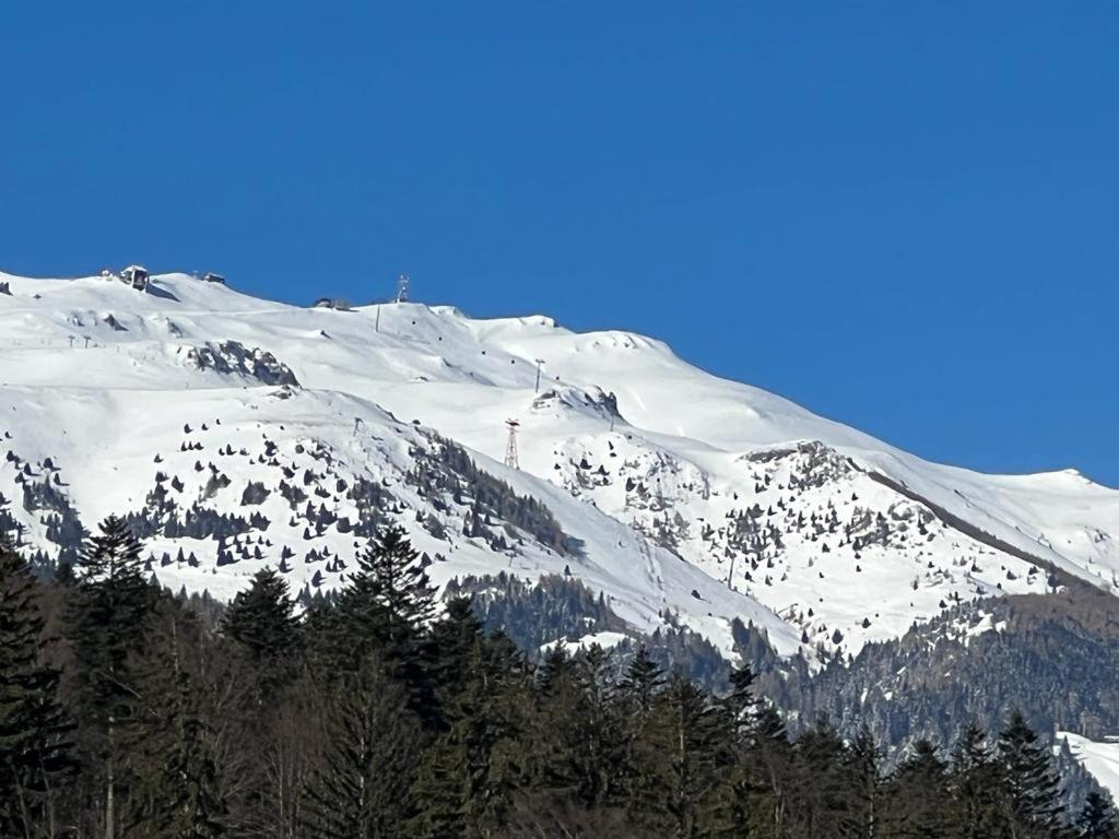 Coca Apart Mountain View Sinaia Kültér fotó