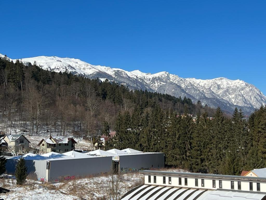 Coca Apart Mountain View Sinaia Kültér fotó